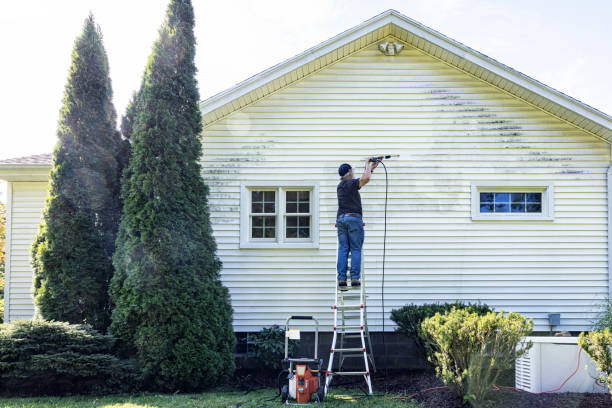 Solar Panel Cleaning in Baudette, MN